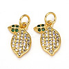 Brass Micro Pave Cubic Zirconia Charms ZIRC-L093-18G-2