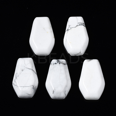 Natural Howlite Cabochons G-N336-001E-1
