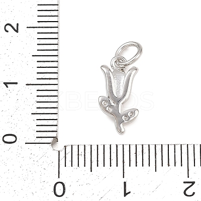 Brass Micro Pave Clear Cubic Zirconia Charms KK-G544-06P-01-1