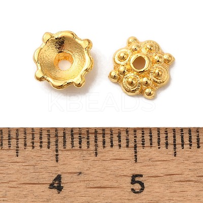 Tibetan Style Alloy Caps LS-K095D012-1