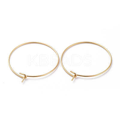 316 Surgical Stainless Steel Hoop Earring Findings X-STAS-J025-01C-G-1