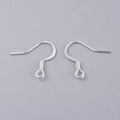 304 Stainless Steel French Earring Hooks STAS-K210-25S-1