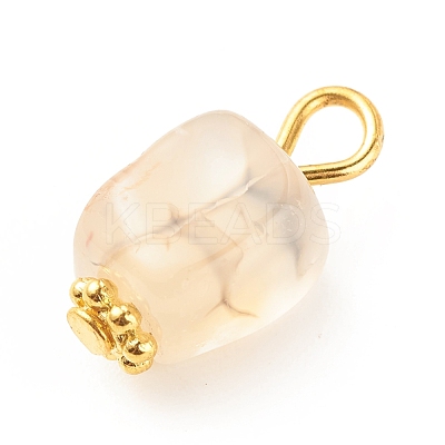 Natural Agate Pendants PALLOY-JF01586-04-1