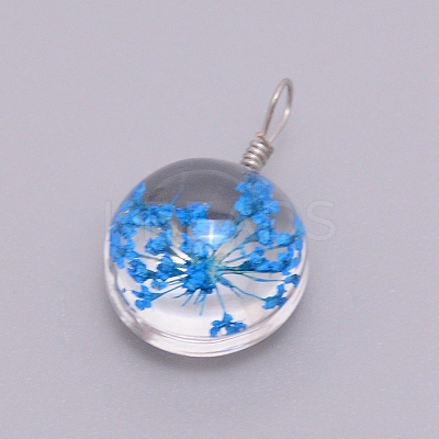 Transparent Glass Pendants GLAA-TAC0003-06R-1