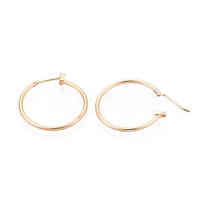 304 Stainless Steel Hoop Earrings EJEW-T048-25C-G-1