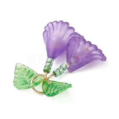 5Pcs 5 Colors Transparent Acrylic Pendants PALLOY-MZ01206-1
