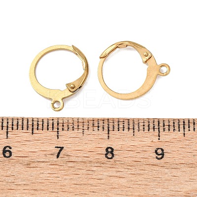 Ion Plating(IP) 304 Stainless Steel Leverback Earring Findings STAS-E103-06G-1