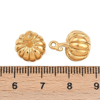 304 Stainless Steel Charms STAS-H241-17B-G-1