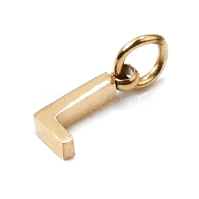 304 Stainless Steel Charms SA-CBABF3F-01G-L-1