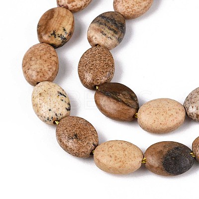Natural Picture Jasper Beads Strands G-T142-30-1