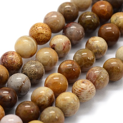 Natural Fossil Coral Beads Strands X-G-G763-12-8mm-1