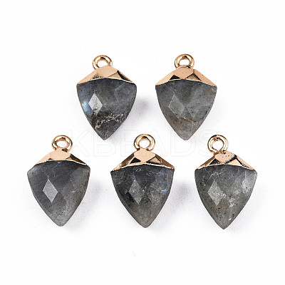 Natural Labradorite Pendants G-N326-134-03-1