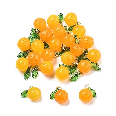 Dyed Natural Agate Orange Charms G-U025-07G-1