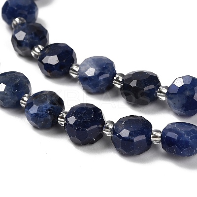 Natural Sodalite Beads Strands G-B153-A11-1
