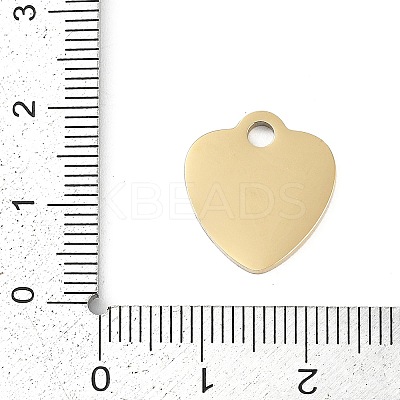 304 Stainless Steel Charms STAS-I325-136H-G-1