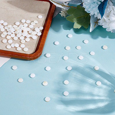 150Pcs Natural Freshwater Shell Beads SHEL-ME0001-06-1