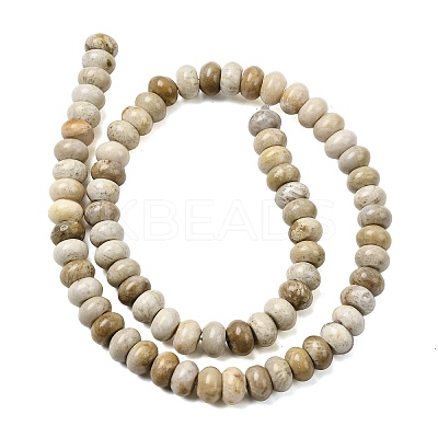 Natural Fossil Coral Beads Strands G-A280-A08-02-1