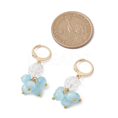 Round Cat Eyes Leverback Earrings EJEW-JE05841-1
