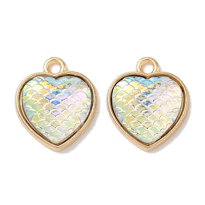 Alloy Resin Pendants FIND-C074-12KCG-1