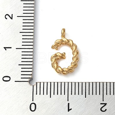 316 Surgical Stainless Steel Pendants & Charms STAS-D031-01G-1