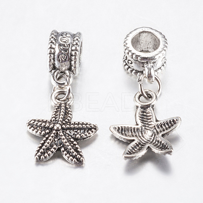 Tibetan Style Alloy European Dangle Charms PALLOY-F199-42AS-1