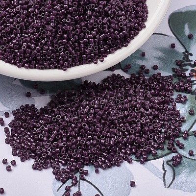 MIYUKI Delica Beads LS-X-SEED-J020-DB2360-1