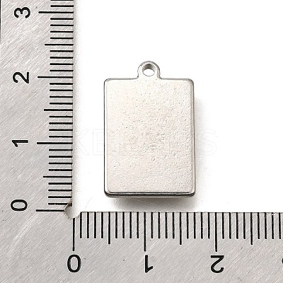 304 Stainless Steel Pendants STAS-C122-19P-01-1