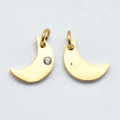 316 Surgical Stainless Steel Pendants STAS-K178-10G-1