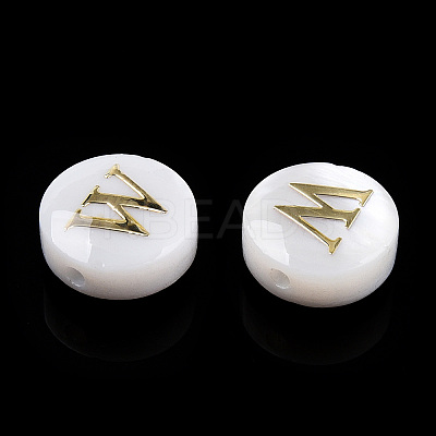 Natural Freshwater Shell Beads SHEL-N036-01W-1