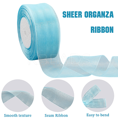 1 Rolls Sheer Organza Ribbon SRIB-CY0001-22C-12-1
