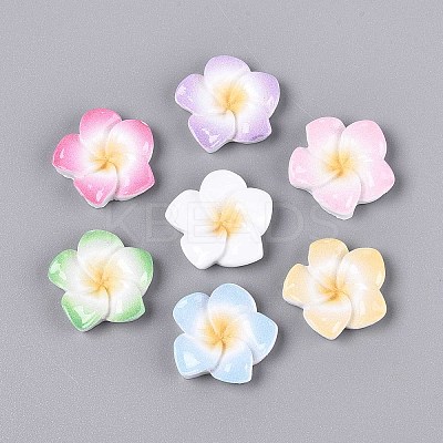 Plumeria Flower Opaque Resin Cabochons CRES-T025-30M-02-1