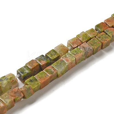 Natural Unakite Beads Strands G-B064-A10-1