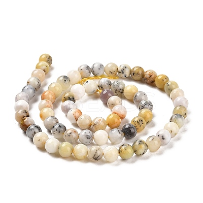 Natural African Opal Beads Strands G-B048-B03-01-1