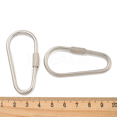 Non-Tarnish 304 Stainless Steel Screw Carabiner Lock Charms LS-STAS-C092-09A-P-1