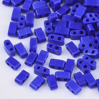 FGB 2-Hole Glass Seed Beads X-SEED-S031-M-048-1