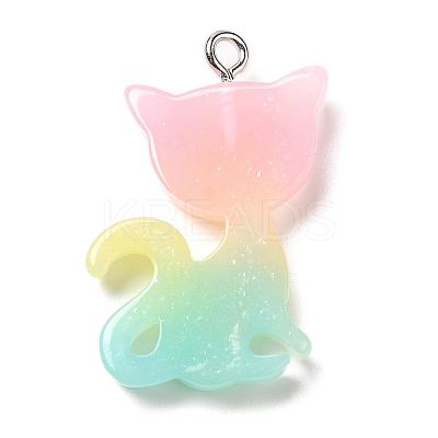 Translucent Resin Pendants RESI-G069-03C-1