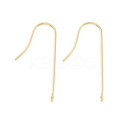 316 Surgical Stainless Steel Earring Hooks STAS-E027-01B-G-1