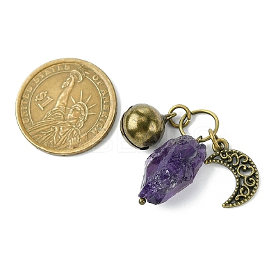Natural Amethyst Pet Collar Charms HJEW-PH01731-1