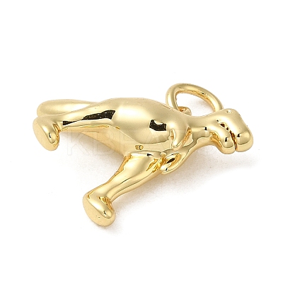 Rack Plating Brass Charms KK-G476-01G-1