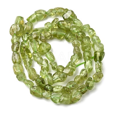 Natural Peridot Beads Strands G-H346-A01-01-1