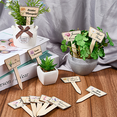 2 Bags Wooden Plant Labels DIY-CP0012-70-1