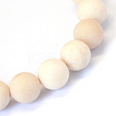 Frosted Natural Fossil Round Bead Strands G-E334-8mm-22-1