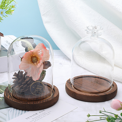 1Pc Glass Dome Cover AJEW-SC0002-60A-04-1