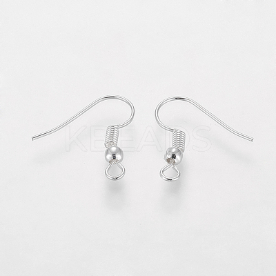 Grade A Silver Color Plated Iron Earring Hooks EC135-S-NF-1