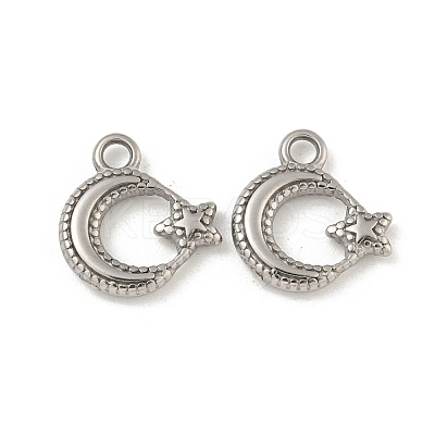 Non-Tarnish 304 Stainless Steel Charms STAS-N103-124P-1