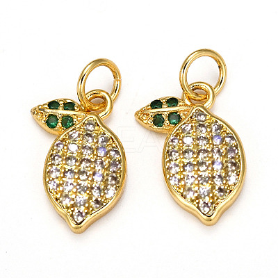 Brass Micro Pave Cubic Zirconia Charms ZIRC-L093-18G-1