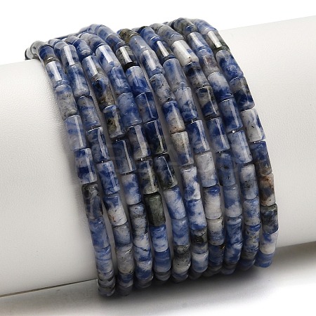 Natural Blue Spot Jasper Beads Strands G-P600-B05-01-1