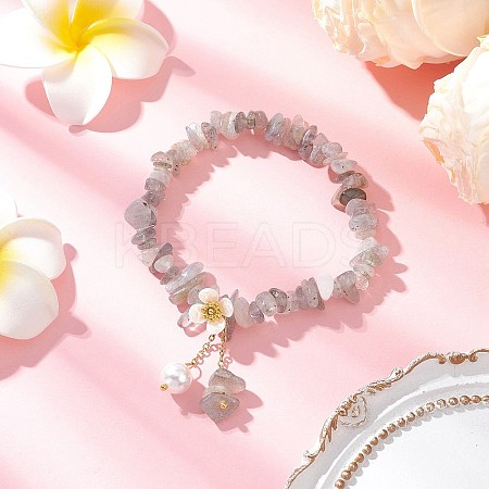 Natural Labradorite Chip Beaded Charm Bracelets BJEW-JB12312-03-1