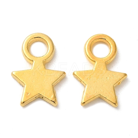 Tibetan Style Alloy Charms LS-TIBEP-A123046-G-FF-1