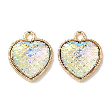Alloy Resin Pendants FIND-C074-12KCG-1